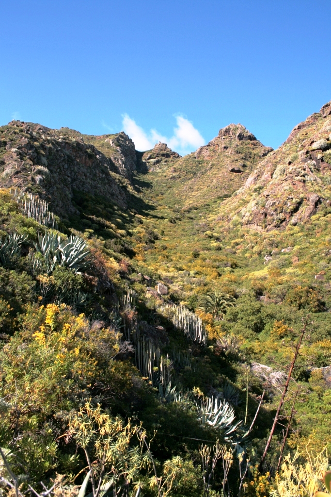 Teneriffa Parque Rural de Anaga