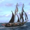 Frischer Nordseewind – von Jütland zur Wesermarsch