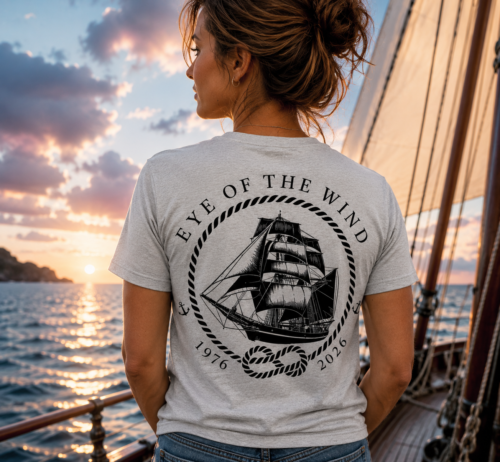 T-Shirt grau 50 Jahre Eye of the Wind